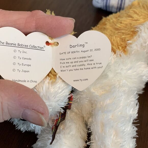 Darling Puppy birthday August 22, 2000 - Picture 4 of 5